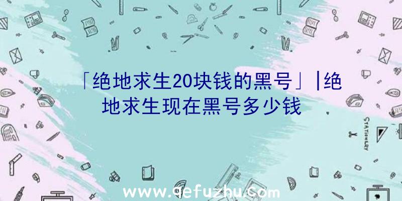 「绝地求生20块钱的黑号」|绝地求生现在黑号多少钱